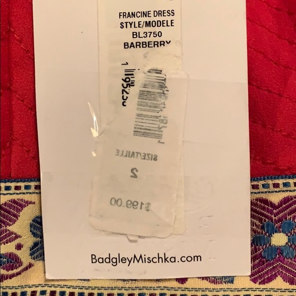 14. Belle Badgley Mischka Francine Dress - Picture 14 of 16